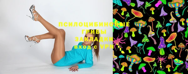 spice Армянск